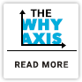 The Why Axis Bug